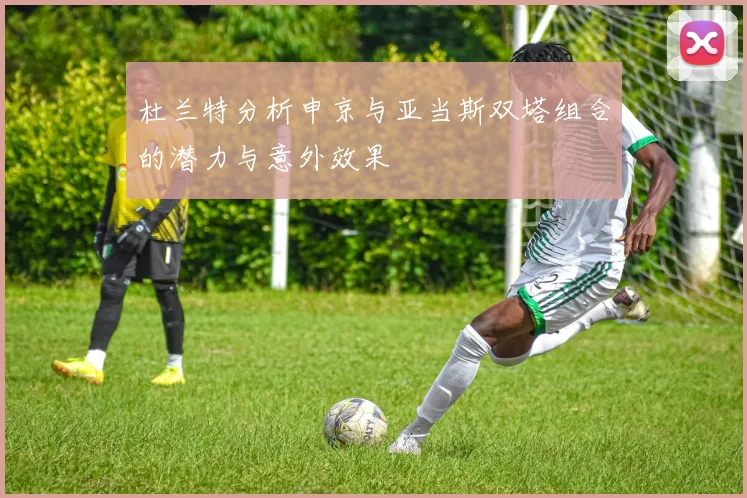 杜兰特分析申京与亚当斯双塔组合的潜力与意外效果