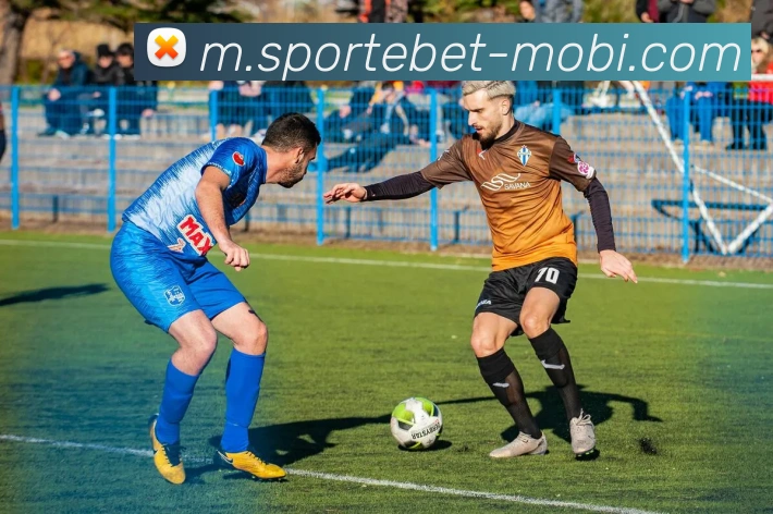 易倍体育平台生态图